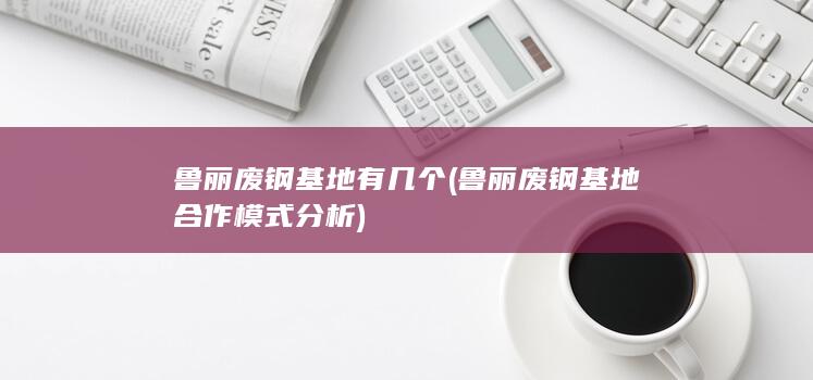 鲁丽废钢基地合作模式分析