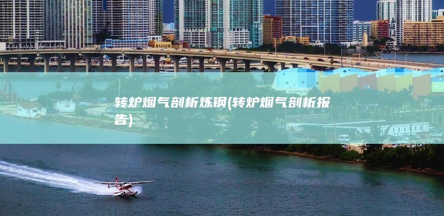 转炉烟气剖析报告