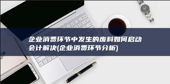 企业消费环节分析