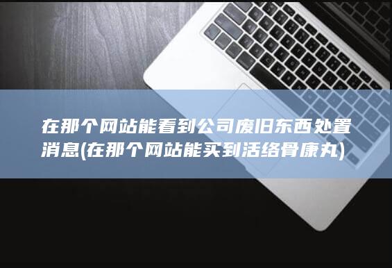 在那个网站能看到公司废旧东西处置消息