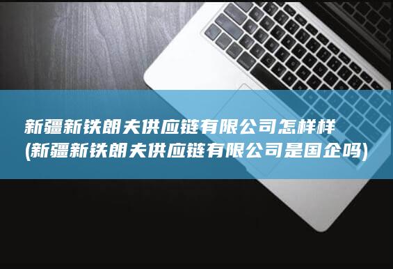 新疆新铁朗夫供应链有限公司怎样样