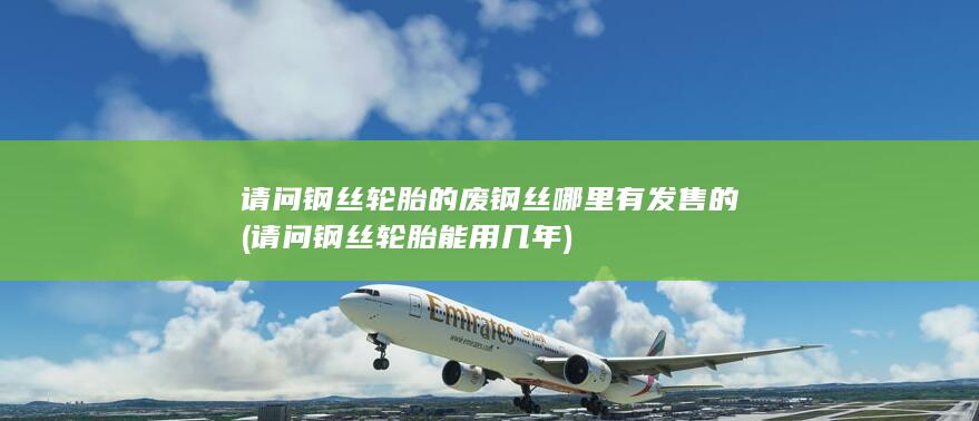 请问钢丝轮胎能用几年