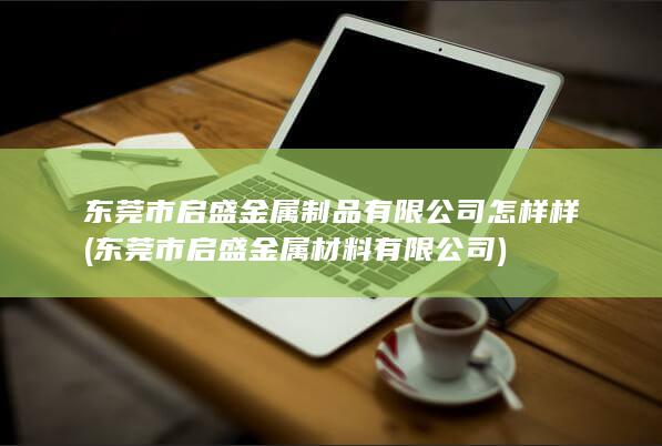东莞市启盛金属制品有限公司怎样样