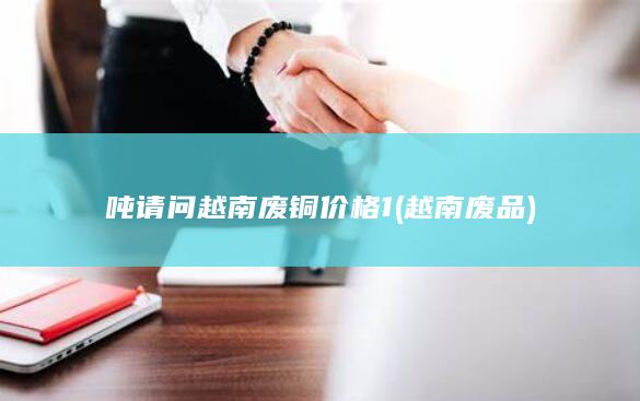 越南废品
