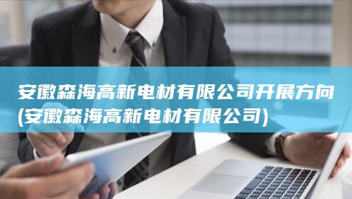 安徽森海高新电材有限公司开展方向