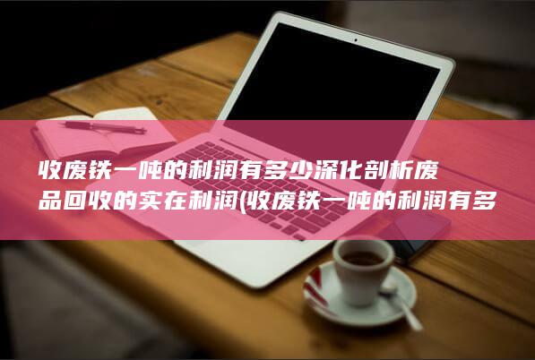 深化剖析废品回收的实在利润