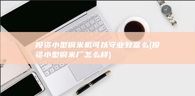 投资小型铜米机可以守业致富么