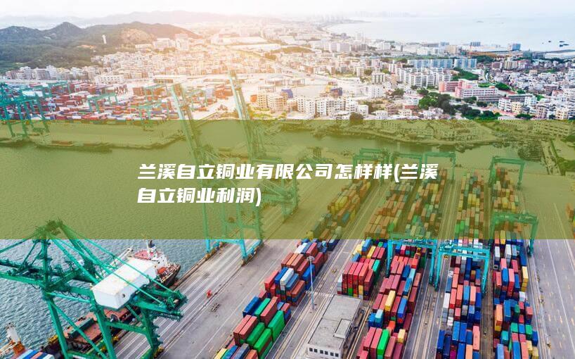 兰溪自立铜业利润