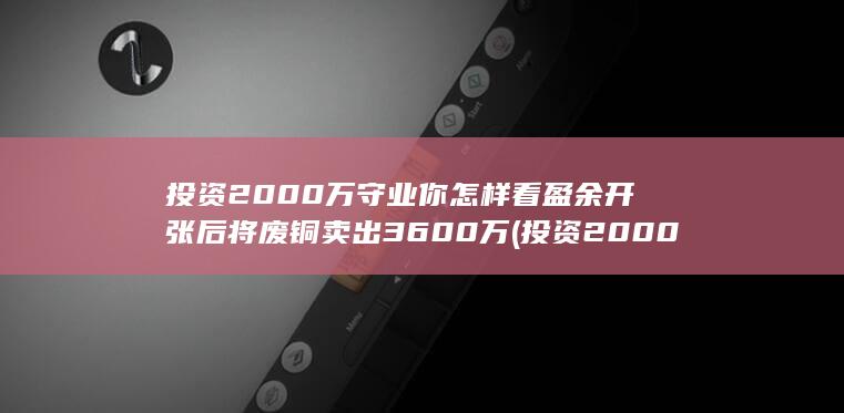 投资2000万一年赚多少