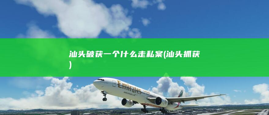 汕头破获一个什么走私案