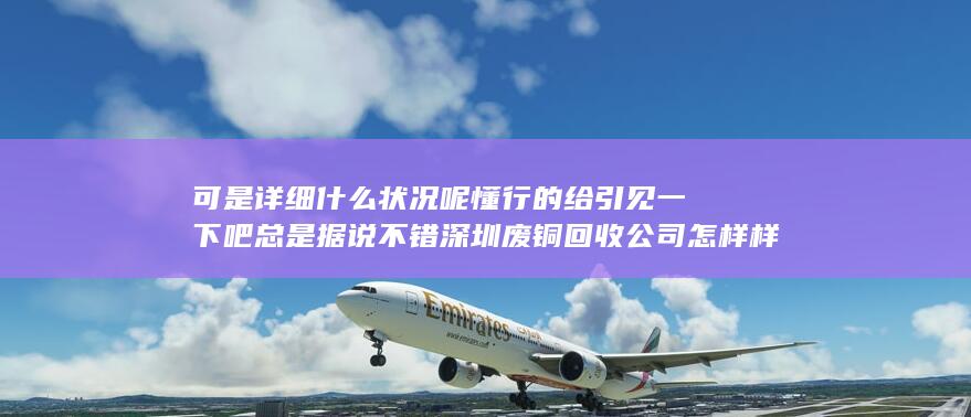 懂行的给引见一下吧