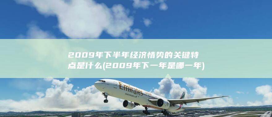 2009年下半年经济情势的关键特点是什么