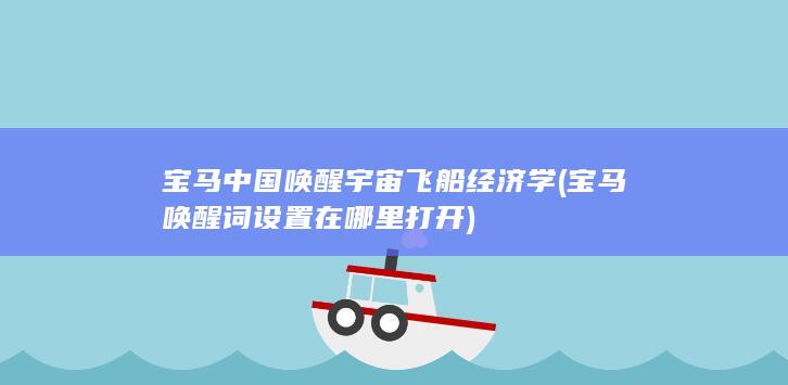 宇宙飞船经济学