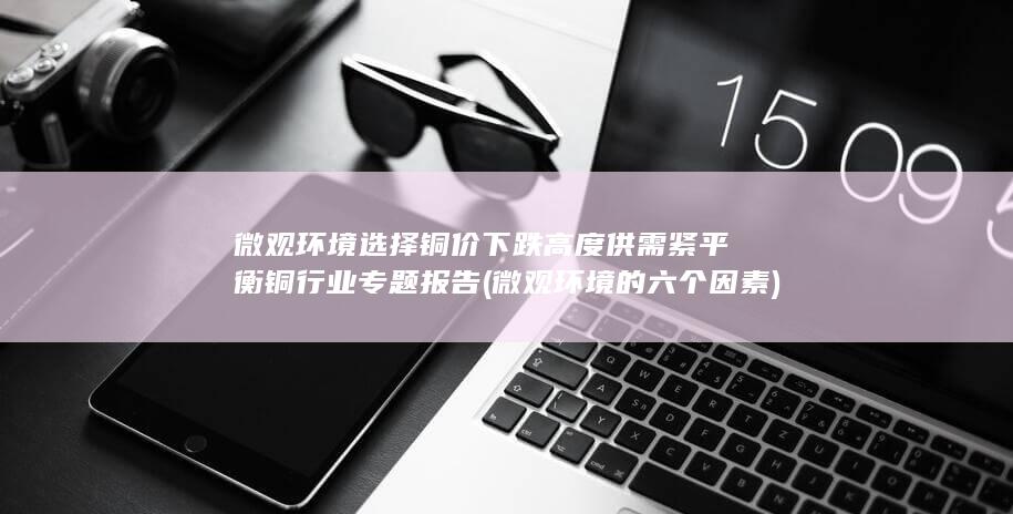 微观环境的六个因素