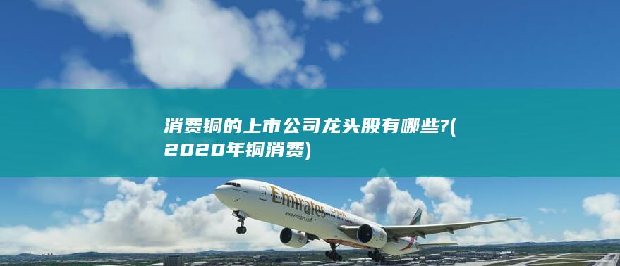 2020年铜消费