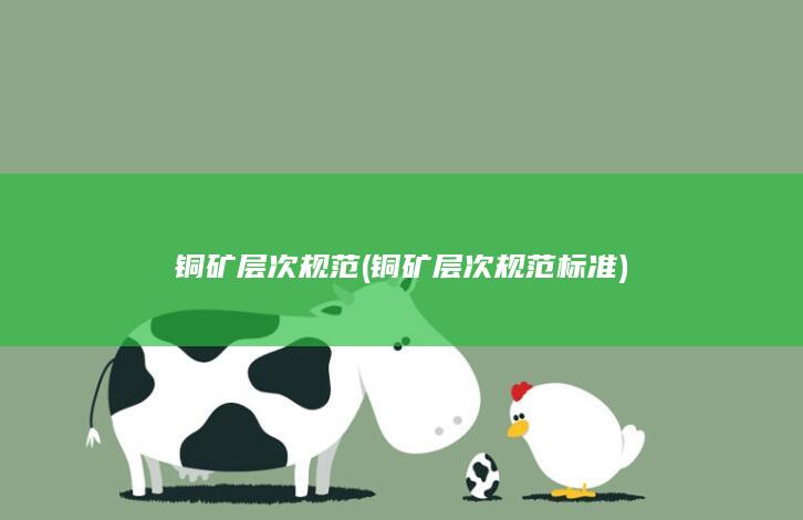 铜矿层次规范