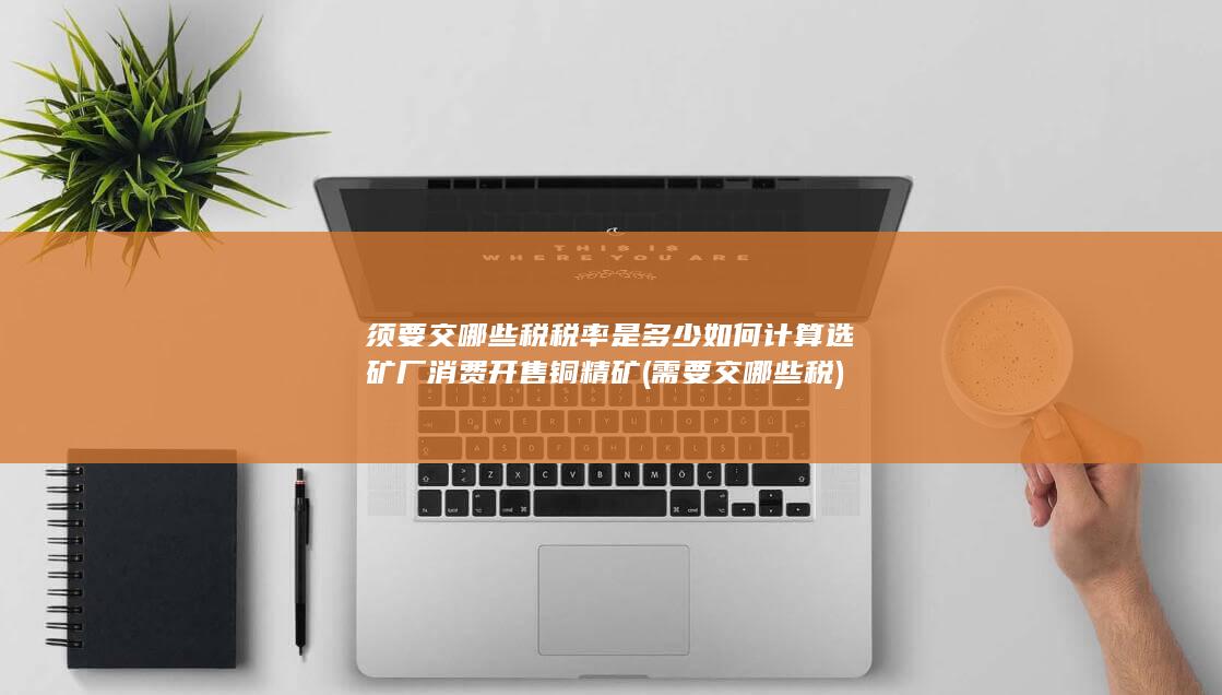 税率是多少