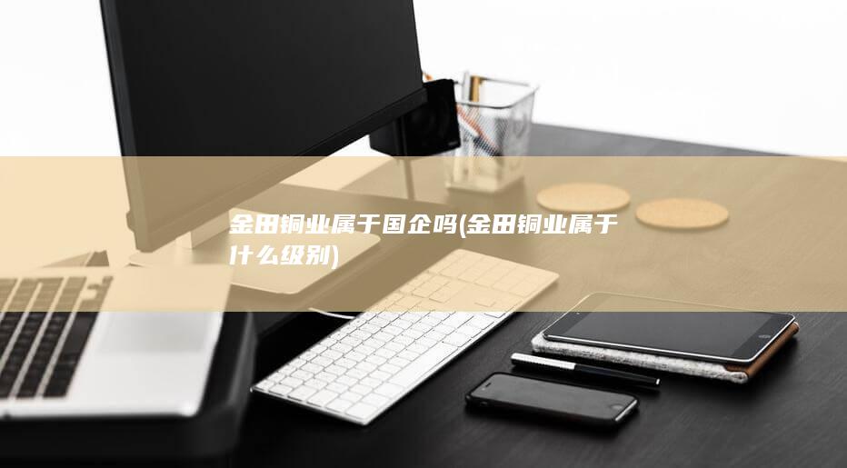 金田铜业属于什么级别