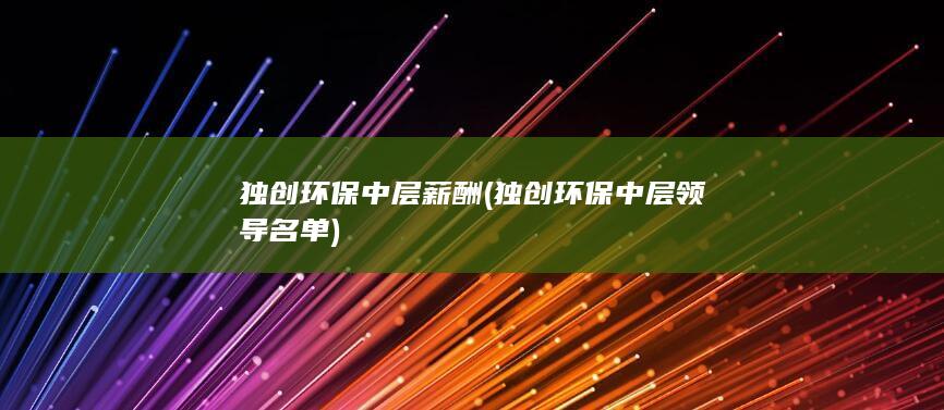 独创环保中层薪酬